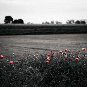 六月婷婷七月丁香
